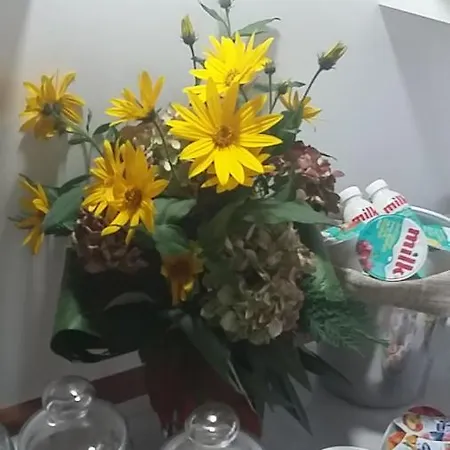 Madonna Degli Airali Bed & Breakfast