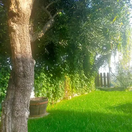 Bed & Breakfast Madonna Degli Airali