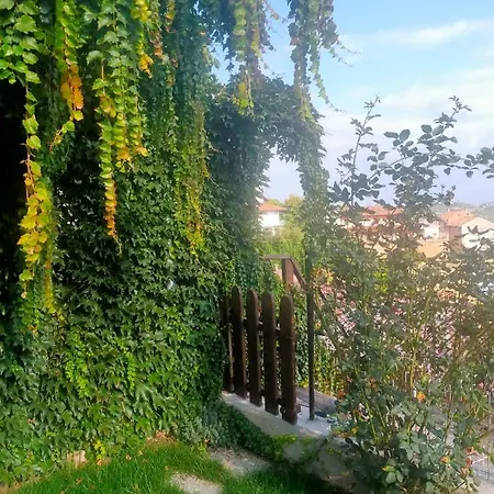 Bed & Breakfast Madonna Degli Airali