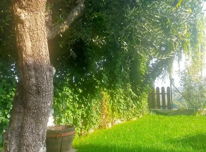 Oda ve Kahvaltı Madonna Degli Airali